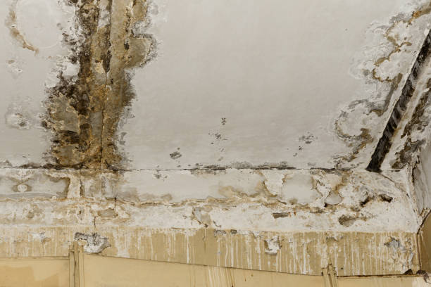 Water damage restoration process in Rossville, IN