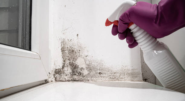 Reliable Rossville, IN Water damage restoration Solutions